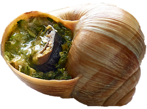 Escargots de Bourgogne préparés | Française de Gastronomie